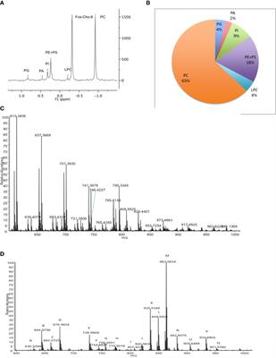 The lipidome of Crithidia fasiculataand its plasticity